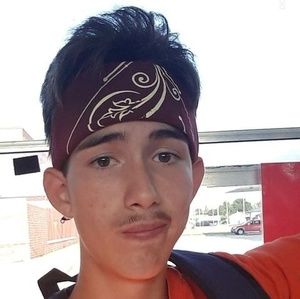 Meet your Posher, Dominic